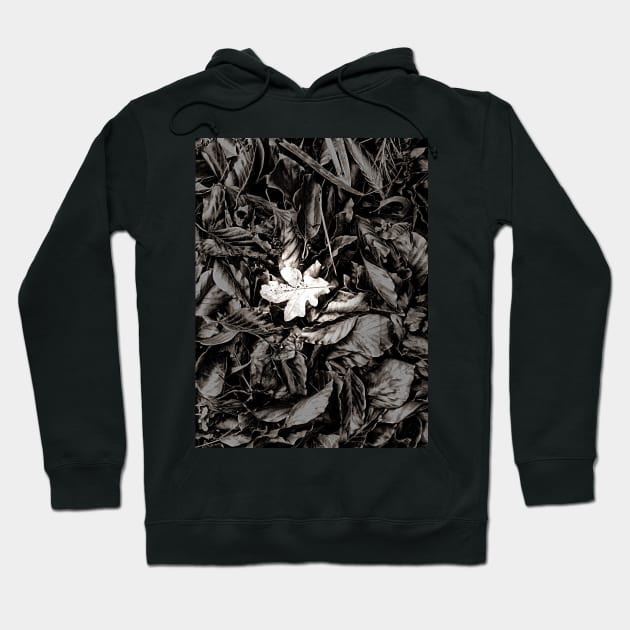 Stand Out From The Crowd Hoodie by Dpe1974